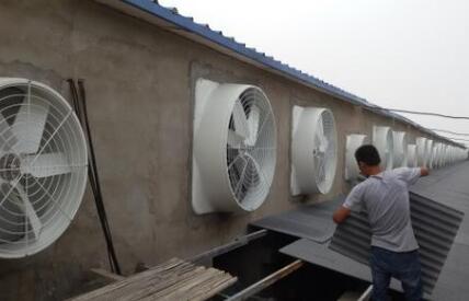 開封負(fù)壓風(fēng)機 開封負(fù)壓風(fēng)機